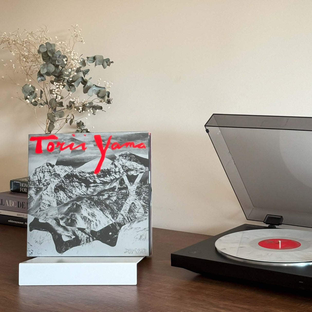 Soporte Metálico para Vinilos ISAK - Expositor de discos de sobremesa