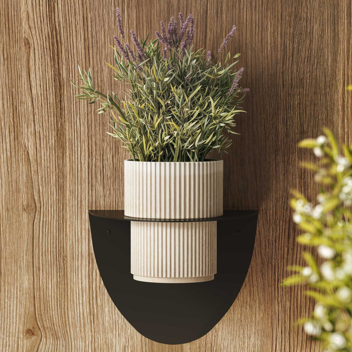 Macetero de pared Bergen - Diseño contemporáneo en acero para decorar y organizar tus plantas