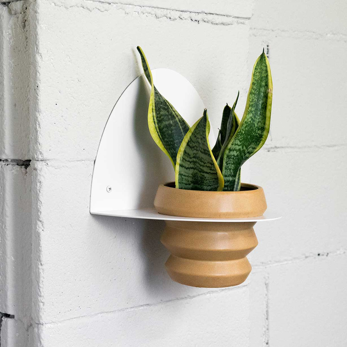 Macetero de pared Bergen - Diseño contemporáneo en acero para decorar y organizar tus plantas